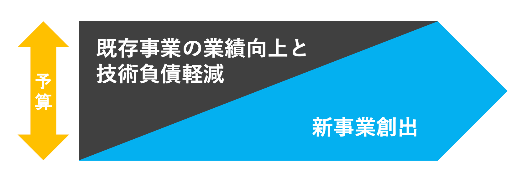 事業戦略