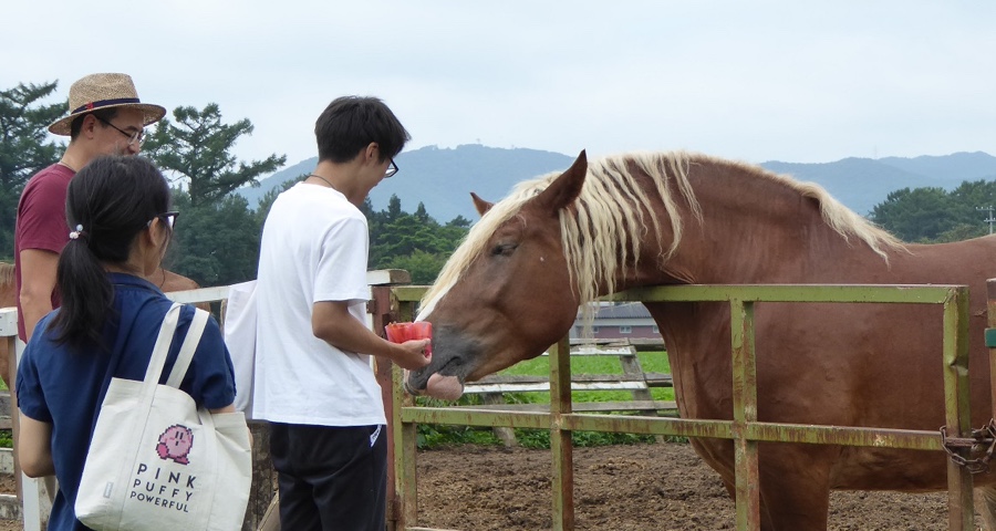 馬っこパーク